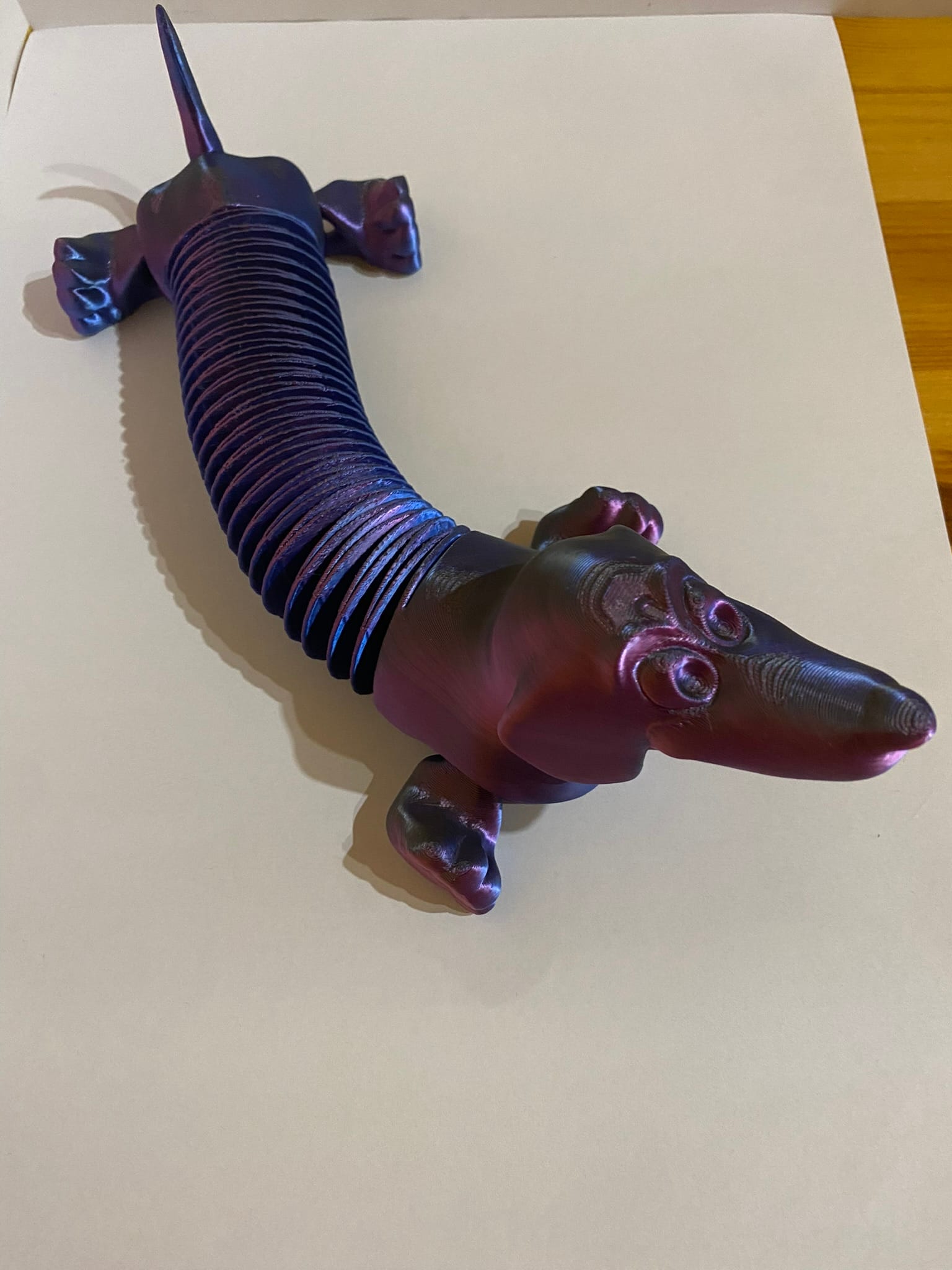 Rugós tacskó - Image 5