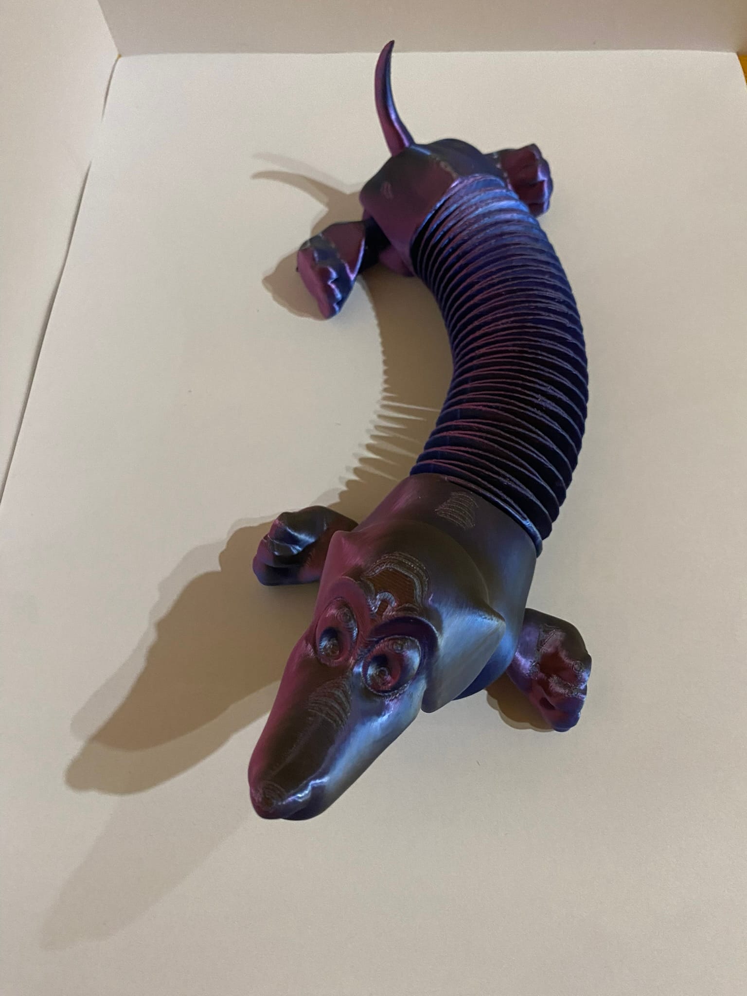 Rugós tacskó - Image 4