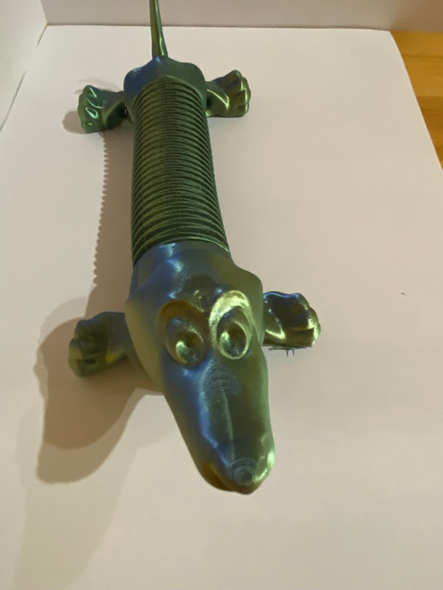 Rugós tacskó - Image 3