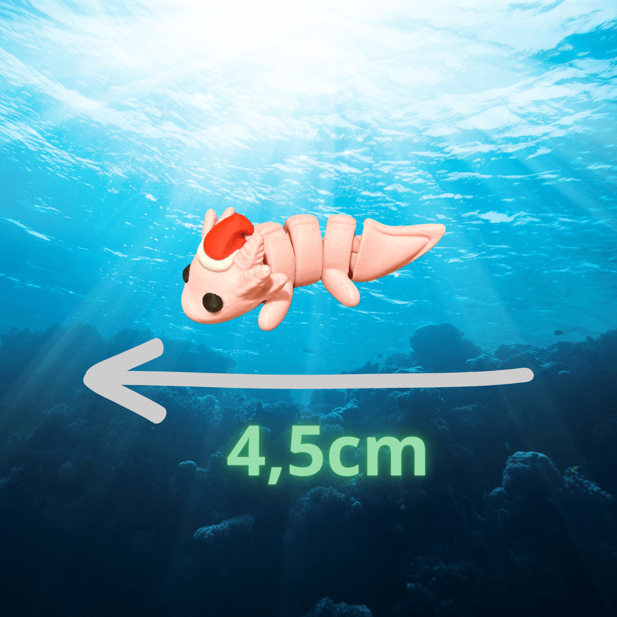 Nagy minik - Image 2