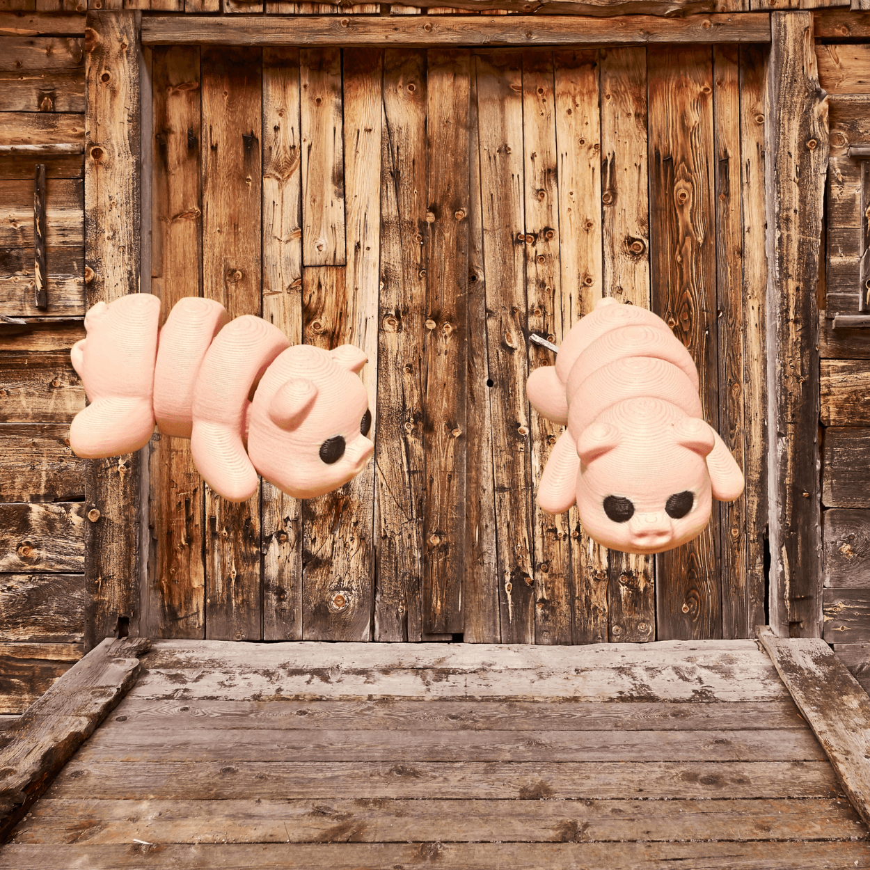 Nagy minik - Image 13