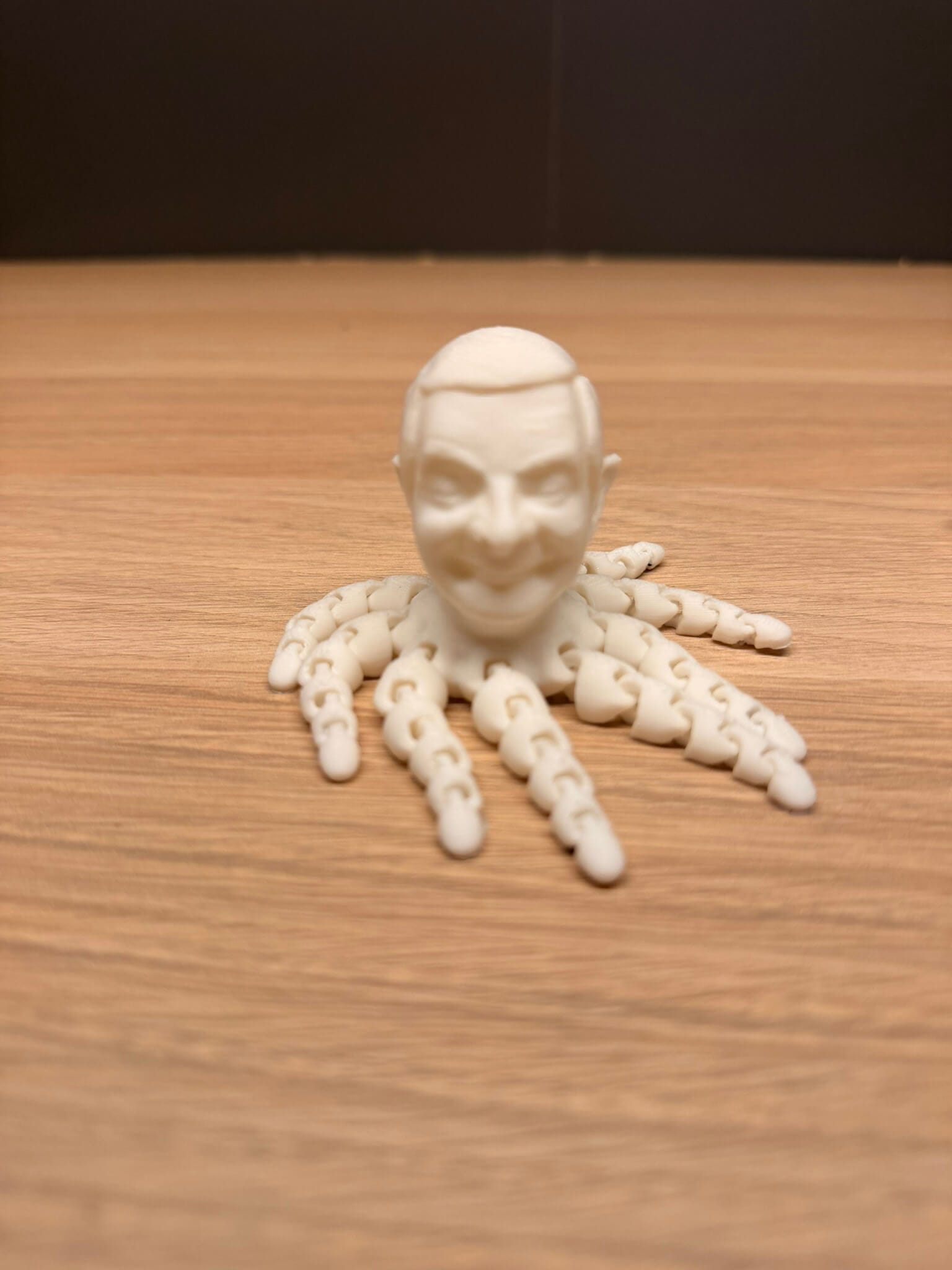 Mr.Bean Polip