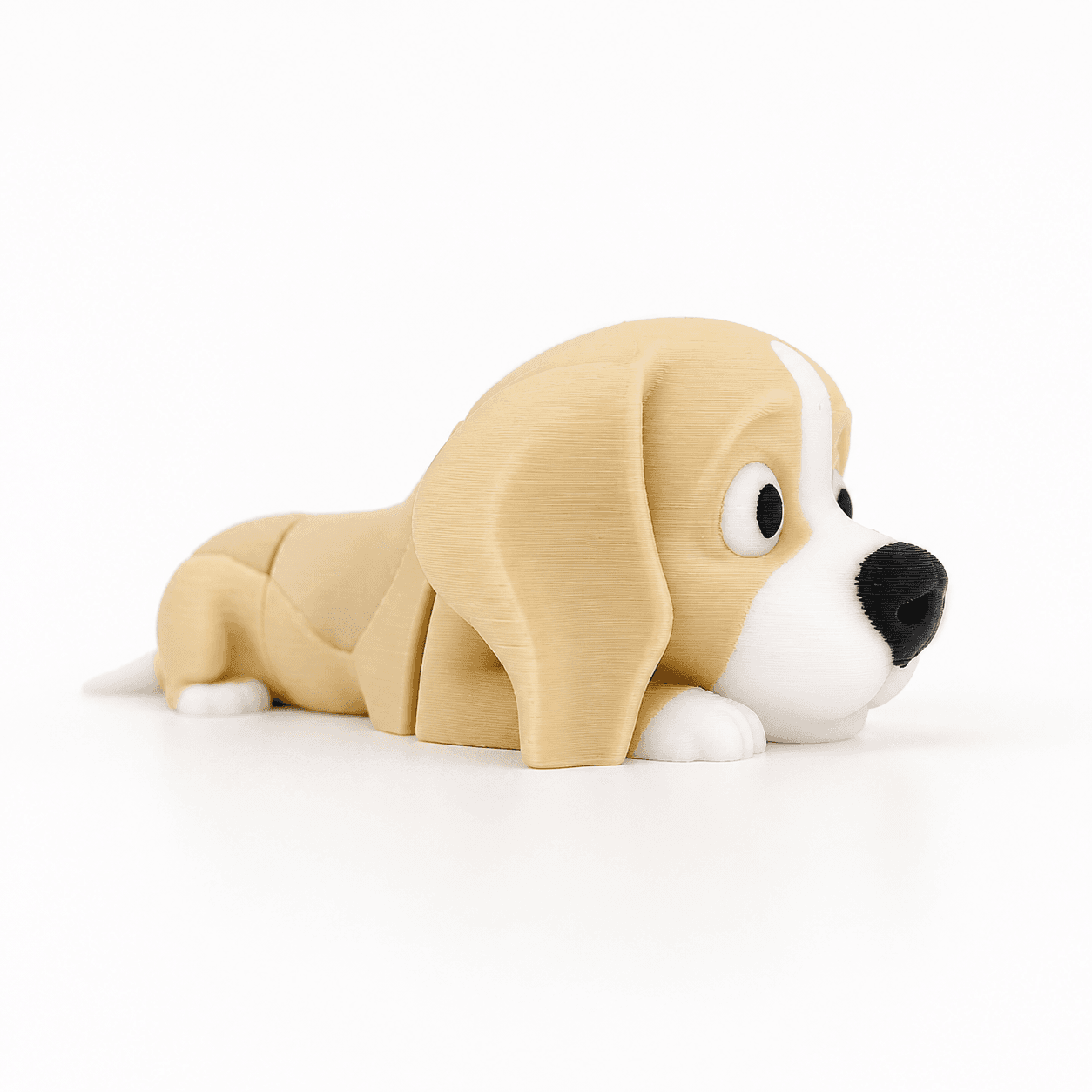 Beagle – Világosbarna-fehér